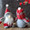 Weihnachten Deko Zwerg 2er Set 18cm Rot Grau